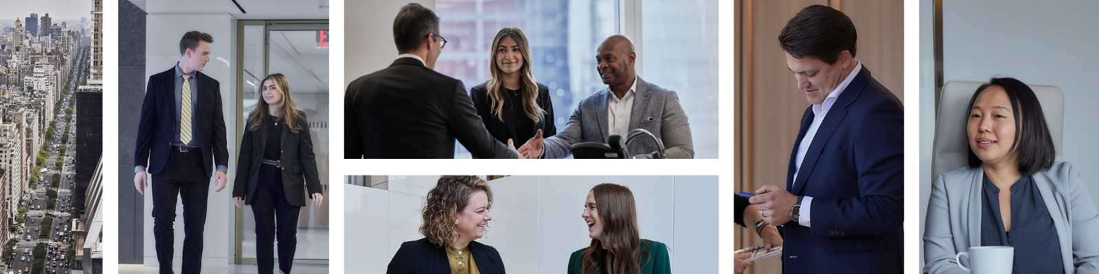 Blue Owl Capital Holdings